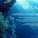 라이프렉스(주)
