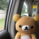 리더스크린 | 🥗 코엑스, MICE, 그리고 영마이스 _2025 영마이스 리더 프로젝트 베뉴 답사 후기