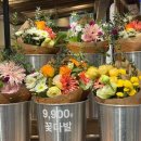 장미양품 - 중구 중앙시장길 8 | 무인양품 9900원 꽃다발 파는 지점 총정리