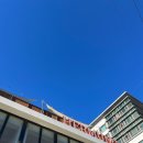 에르멍스 | 강남 NEW 애견카페 &lt;에르멍스 더 라운지&gt; 솔직 후기