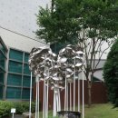 행복나무(Happy 이미지