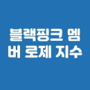 블랙핑크 멤버 로제 지수 인기순위 총정리