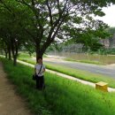 전서로(풍천면) 이미지