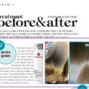 보그 메디 네이버블로그