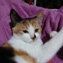 해피스타데이 이미지