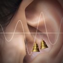 올벗이비인후과의원 이미지