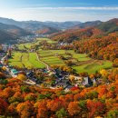 금산마을회관 | 충남 금산군 관광 및 현지인 및 직장인들이 많이 찾는 맛집