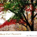 진산휴양림 이미지