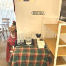 거북로 | 와플 냄새에 이끌려 들어간 의정부 애견동반 카페 하우두유두 후기