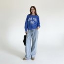피그먼트