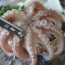 내포해물촌 이미지