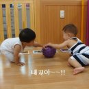 한솔어린이집 이미지