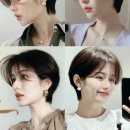 뿌리광장 이미지