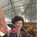 백곡농장 이미지