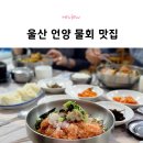 강동참가자미