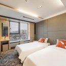 그레이스텔 이미지