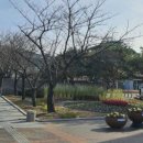 와촌보건진료소 이미지