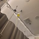 이금수내과의원 이미지