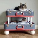 우리.다 이미지