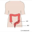 대장내시경검사 주기[오산수면내시경잘하는곳 추천] 이미지