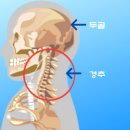 JM FITNESS 네이버블로그