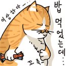 에이스테이크 이미지