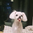 밴스동물병원 이미지