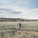 노을숲제주 이미지