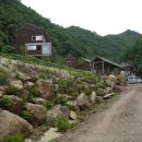 모리숲 이미지