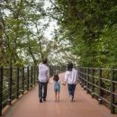 반도정형외과병원 이미지