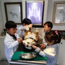 소풍동물병원 이미지