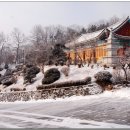 충용사 이미지