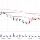 IB 소프트 이미지