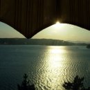 아델리아 이미지