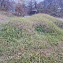 박동명 충신각 이미지