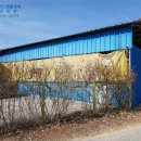 김진용축사 이미지