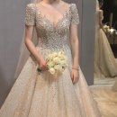 아르케 핏 | W7. 천안 드레스 피팅 비렌티 본식 아르케 드레스 리뷰