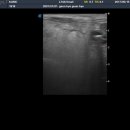 울산착한동물병원 이미지