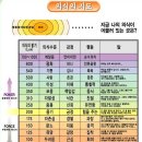 호모 스피리투스 06. 영적 각성(에고분석, 구도자의 자질) 이미지