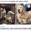 30년 보신탕집 사장, 속죄의 의미로 반려견 목욕탕 사장됐다. 이미지