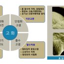 탄탄(tantan) 이미지