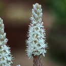 사니정원 이미지