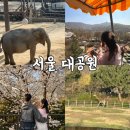 기린리프트 | 🌸 서울 벚꽃 여행 코스 총정리 서울대공원 리프트 후기 (4월 필수코스)