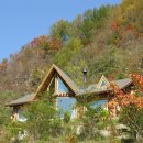 평창들꽃 이미지