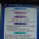 제주경마공원 티스토리