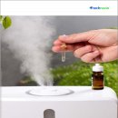 Air 이미지