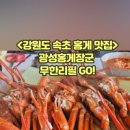 광성홍게장군 이미지