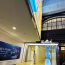 월드 프린트 | 노티드 잠실롯데월드몰점 후기 _ 딸과 함께한 잠실 데이트, 도넛 & 치즈케이크