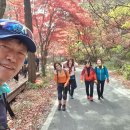 단촌초등학교 이미지