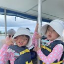 삼성영어가람마을영어교습소 | 의정부 영어학원 유아 어학원 실패 후 찾은 보석같은 삼성영어 셀레나 동오영어교습소